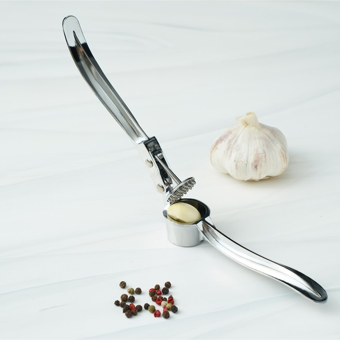 Пресс для чеснока Доляна «Эрнест», 15 см, цвет серебряный Пресс для чеснока Доляна «Эрнест», 15 см, цвет серебряный