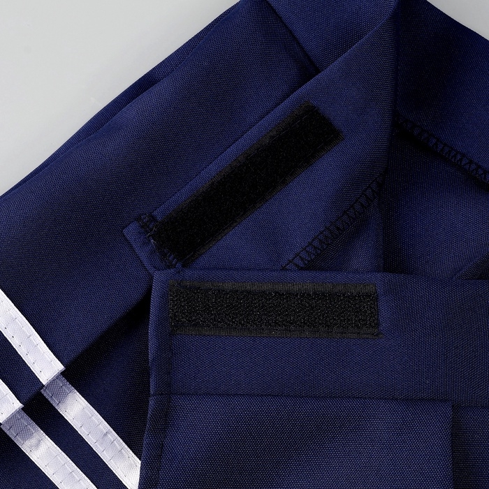 Карнавальный набор «Каваи тян»: топ, юбка на липучке, чулки, р-р 38-46, цвет синий Карнавальный набор «Каваи тян»: топ, юбка на липучке, чулки, р-р 38-46, цвет синий