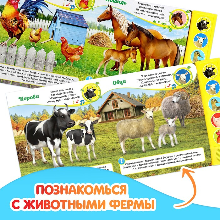Музыкальная книга «Голоса на ферме», 10 стр. Музыкальная книга «Голоса на ферме», 10 стр.