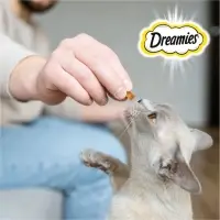 Лакомство Dreamies для кошек, курица, 60 г