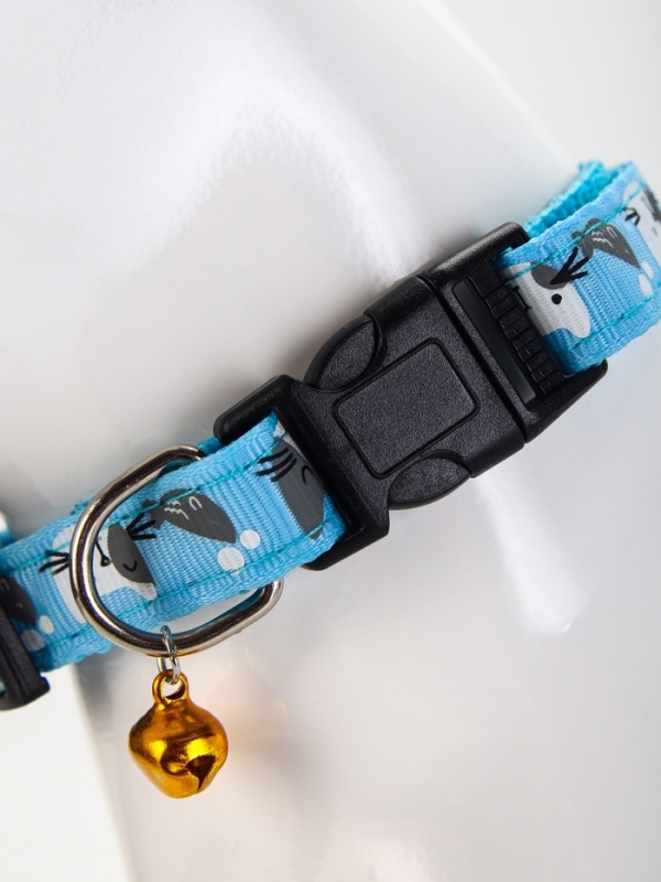 Ошейник Ошейник "Котята", 40 х 1,5 см, голубой