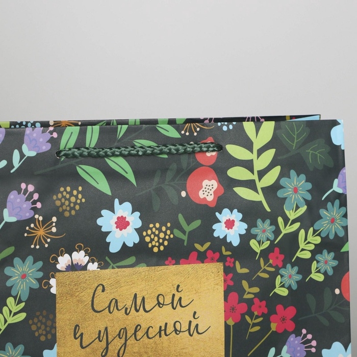 Пакет подарочный ламинированный, упаковка, «Present for you», ML 25 х 21 х 8 см