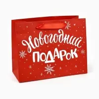 Пакет подарочный ламинированный &laquo;Новогодний подарок&raquo;, MS 23&times;18&times;10 см