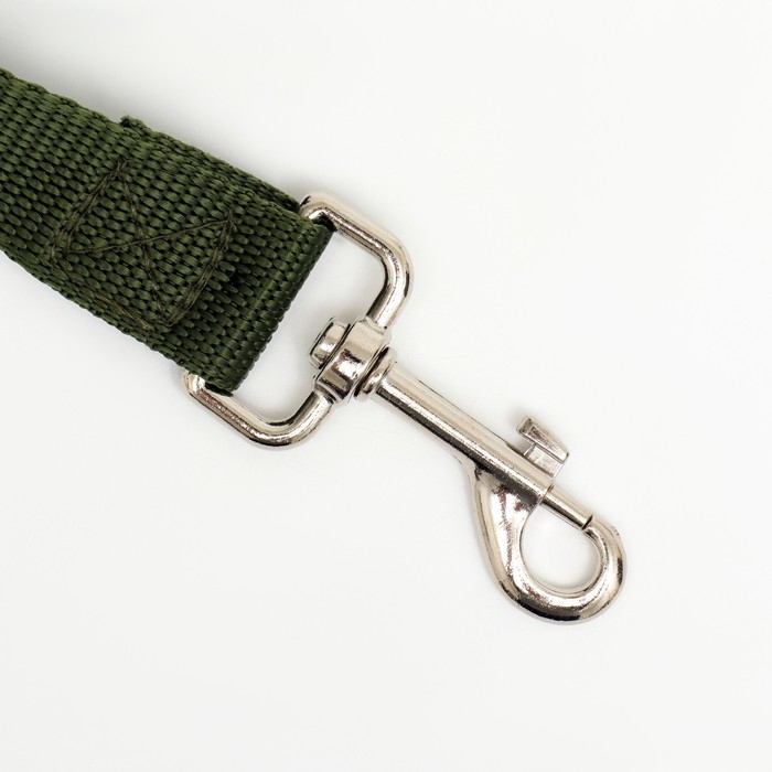 Поводок 2 м х 2,5 см, зелёный Поводок 2 м х 2,5 см, зелёный