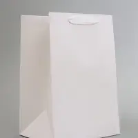 Пакет подарочный, с окном, 30&times;20&times;16 см, белый