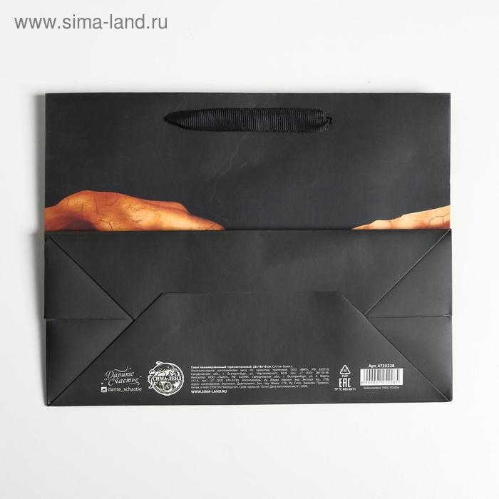 Пакет подарочный ламинированный горизонтальный, упаковка, Imagine, MS 23 х 18 х 10 см Пакет подарочный ламинированный горизонтальный, упаковка, Imagine, MS 23 х 18 х 10 см