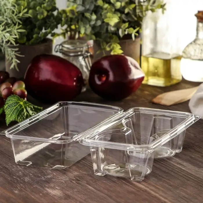 Контейнер одноразовый с неразъёмной крышкой ПР-ПК62С2, 2 секции, пластик, 18.8×13.8 см, прозрачный