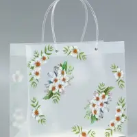 Пакет подарочный прозрачный &laquo;Самой лучшей&raquo;, 30&times;26&times;12 см