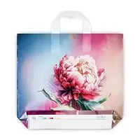 Пакет "Сандра", полиэтиленовый с петлевой ручкой, 37 х 34 см, 70 мкм