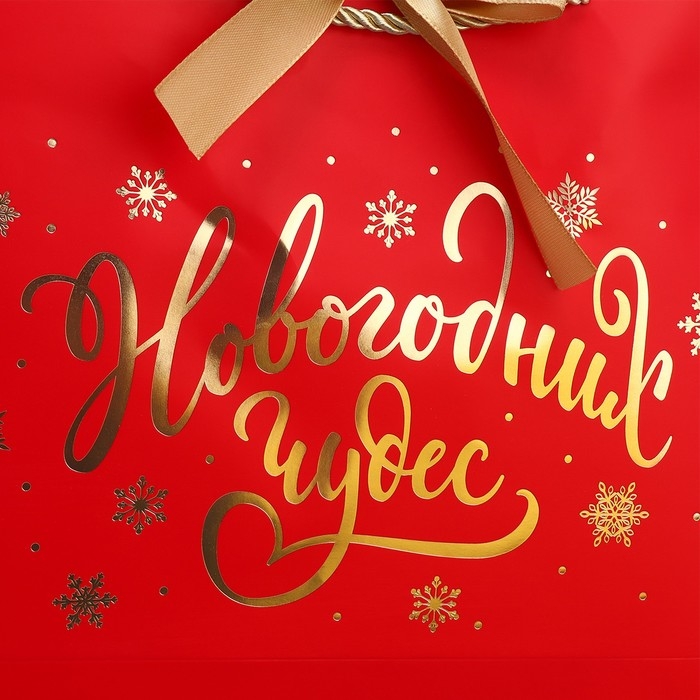 Пакет подарочный новогодний «Чудеса рядом», 26 х 25 х 11 см Пакет подарочный новогодний «Чудеса рядом», 26 х 25 х 11 см