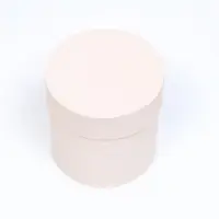 Набор шляпных подарочных коробок 5 в 1 &laquo;Ваниль однотонный&raquo;, 20&times;20&times;20 ‒ 13.5&times;13.5&times;13.5 см