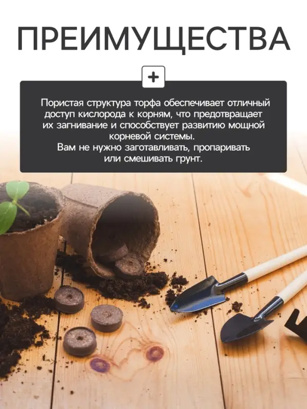 Набор для рассады: торфяная таблетка d=5.5 см, 15 шт., кассета на 15 ячеек по 150 мл, поддон 35&times;22 см, зелёный, пластик, Экоторф