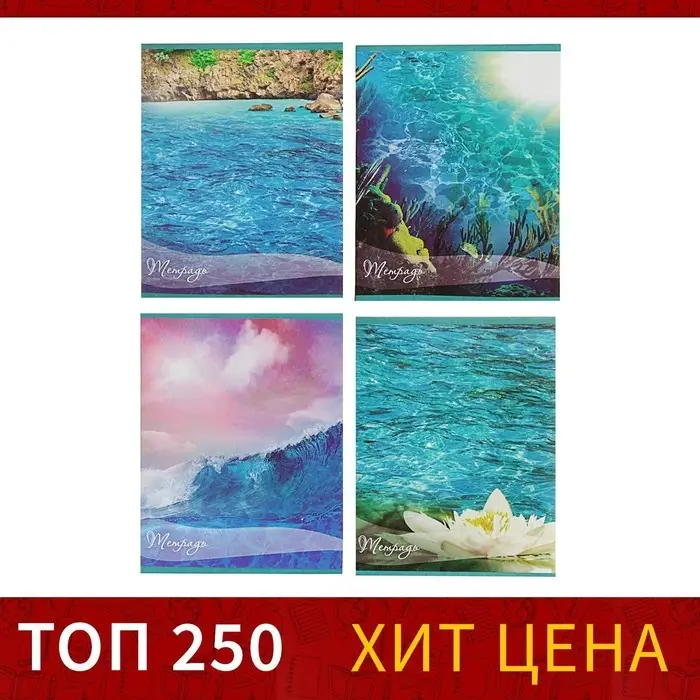 Тетрадь 48 листов в клетку Calligrata «Океан», обложка мелованная бумага, блок №2, белизна 75% (серые листы), МИКС