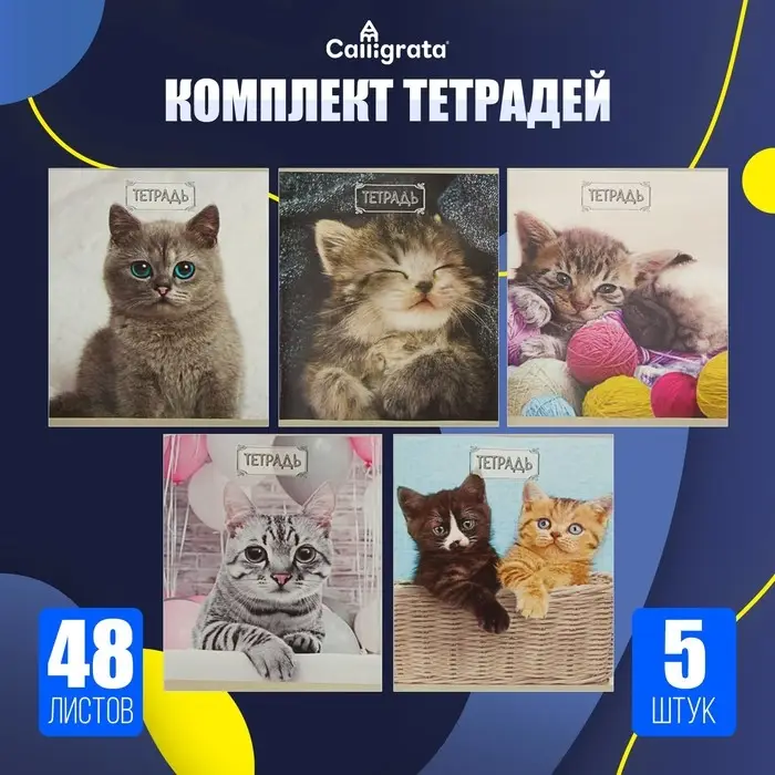 Тетради 48 листов в клетку, Calligrata &laquo;Милые котята&raquo;, серые листы, 5 штук
