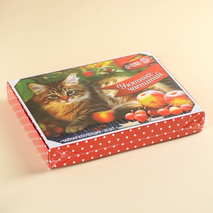 Чайная коллекция «Уютных чаепитий», 54 г (30 пакетиков х 1,8 г). Чайная коллекция «Уютных чаепитий», 54 г (30 пакетиков х 1,8 г).