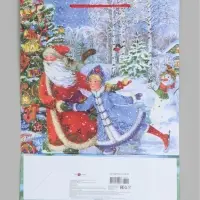 Пакет ламинированный L 33 х 42,5 х 10 см 168