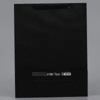 Пакет ламинированный вертикальный Present, 33&times;42&times;10 см