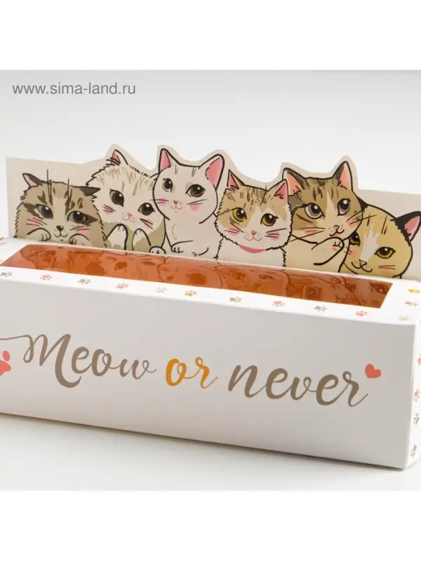 Коробка для макарун кондитерская, упаковка &laquo;Meow or never&raquo;, 18 х 5,5 х 5,5 см