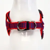 Комплект амуниции рельефный, поводок 120&times;1.5 см, ОГ 36-49 см, красно-синий