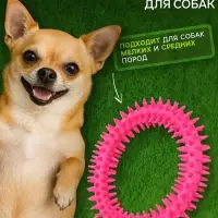 Игрушка для собак &laquo;Кольцо с шипами&raquo;, 12.5 см, розовая