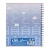 Набор тетрадей Calligrata &laquo;Аниме. Девочка с котом&raquo;, 3 штуки, 96 листов, на гребне, обложка из мелованного картона