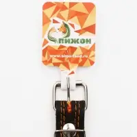 Ошейник кожаный усиленный капроном с полукольцом, 55&times;2.5 см, ОШ 27-53 см, чёрный