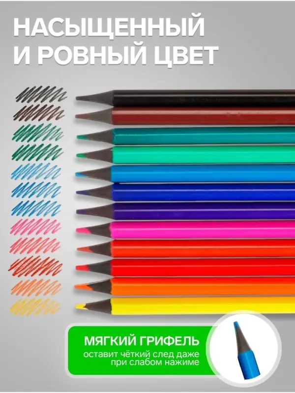 Карандаши Calligrata цветные заточенные, 12 цветов, пластиковые, в картонной коробке
