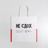 Пакет подарочный &laquo;И ладно&raquo;, упаковка, 22&times;22&times;11 см