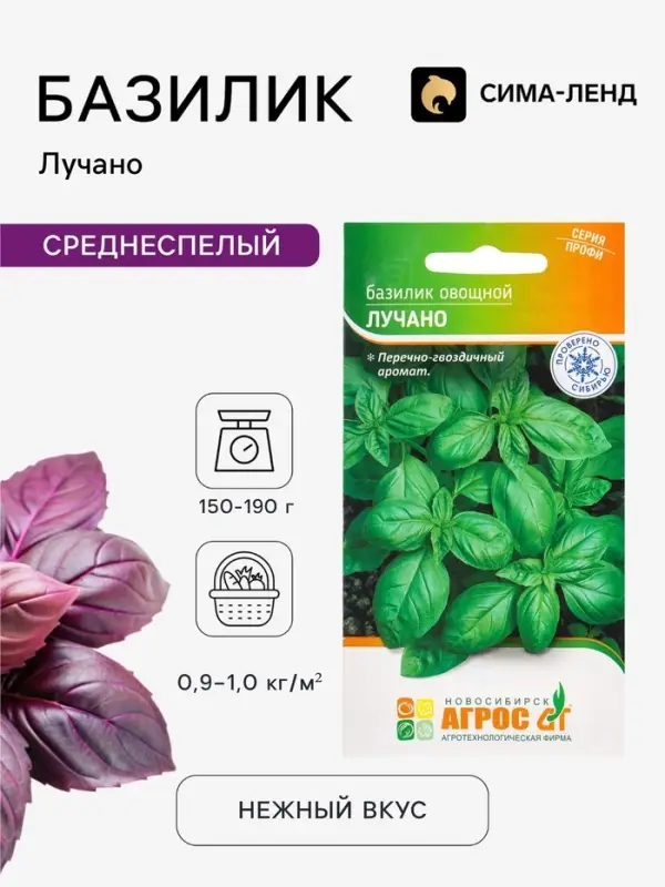 Семена Базилик овощной &laquo;Лучано&raquo;, 0.4 г, &laquo;Агрос&raquo;