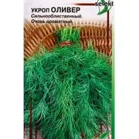 Семена Укроп &laquo;Оливер&raquo;, 650 шт., &laquo;Дом семян&raquo;