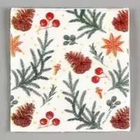 Салфетки бумажные &laquo;С Новым годом: шишки&raquo;, однослойные, 24&times;24 см, 20 шт.