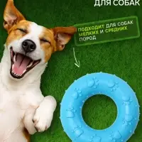 Жевательная игрушка для собак &laquo;Пончик&raquo;, 7 см, голубая