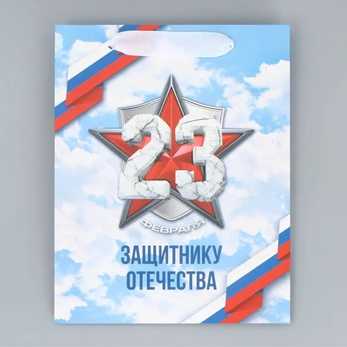 Пакет подарочный ламинированный, упаковка, &laquo;С 23 февраля&raquo;, MS 18&times;23&times;10 см