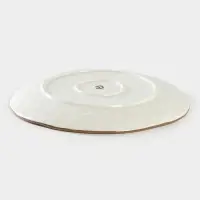 Тарелка Доляна &laquo;Космос&raquo;, d=27.5 см, фарфор, белая, синяя