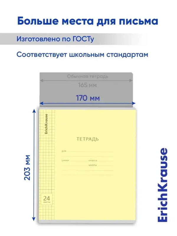 Тетрадь 24 листа в клетку, ErichKrause &laquo;Классика Visio&raquo;, обложка мелованный картон, МИКС