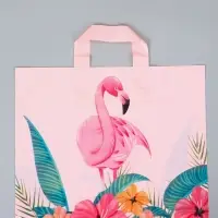 Пакет с петлевой ручкой "Фламинго" 35 х 30 х 8, см, 60 мкм