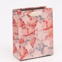 Пакет подарочный «Деньги», S 12 × 15 × 5,5 см Пакет подарочный «Деньги», S 12 × 15 × 5,5 см