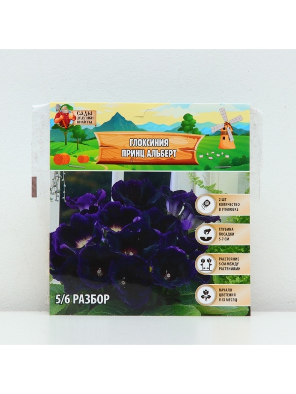 Глоксиния «Принц Альберт», многолетник, комнатный, луковица в пакете с перфорацией, р-р 5/6, 2 шт.