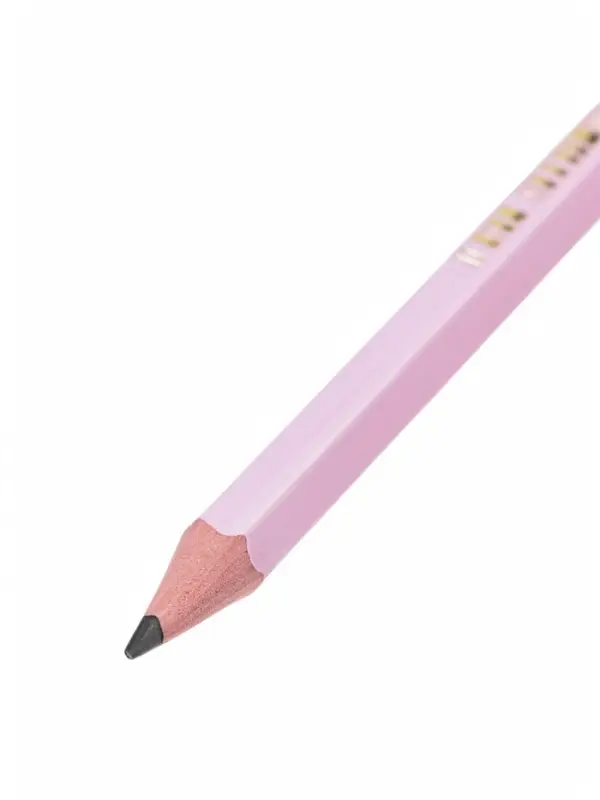 Карандаши чернографитные BIC HB Evolution &laquo;Пастель&raquo;, набор 5 штук, пластиковые