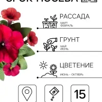 Семена цветов Петуния крупноцветковая &laquo;Танго&raquo;, бордовая, 15 шт.