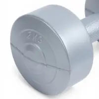 Гантели виниловые, 2 шт., 2 кг, серебристый металлик