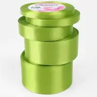 Атласная лента, набор 5 шт., 6/10/20/40/50 мм, 23&plusmn;1 м, светло-зелёная №184