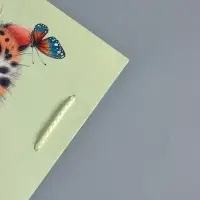 Пакет подарочный ламинированный "Маленький котенок" 18 х 22,3 х 10 см