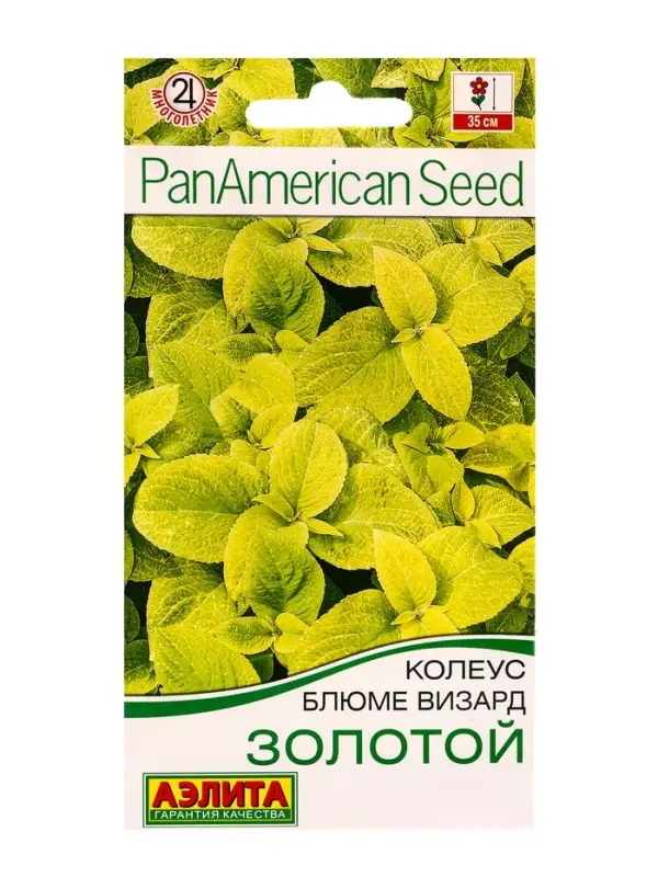 Семена цветов Колеус блюме Золотой Мн Спецсерия PanAmerican, Ц/П,5 шт. Семена цветов Колеус блюме Золотой Мн Спецсерия PanAmerican, Ц/П,5 шт.