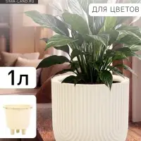 Кашпо для цветов &laquo;Рамона&raquo;, 1 л, d=15 см, h=14 см, со вставкой, пластиковое, белое