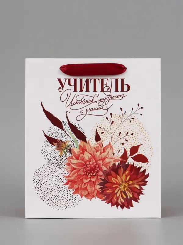 Подарочный набор &laquo;Учитель&raquo;, пакет и открытка, ML 27 &times; 23 &times; 11,5 см