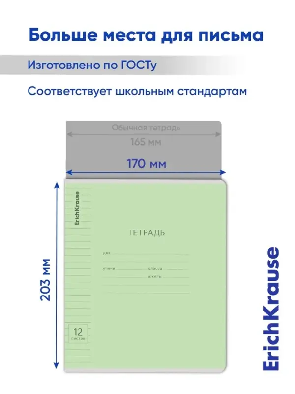 Тетрадь 12 листов в линейку &laquo;Классика с линовкой&raquo;, обложка мелованный картон, блок офсет, зелёная