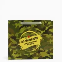 Пакет подарочный вертикальный &laquo;23 февраля&raquo;, ML 23&times;27&times;11.5 см