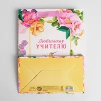 Пакет подарочный ламинированный, упаковка, &laquo;Любимому Учителю&raquo;, MS 18&times;23&times;10 см