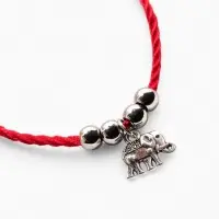Браслет-оберег &laquo;Красная нить. Слон&raquo;, талисман защиты, процветание и успех, цвет чернёное серебро, 20 см